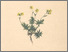 [thumbnail of 11830_1.png]