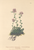[thumbnail of 11712_1.png]