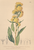 [thumbnail of 11874_1.png]