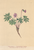 [thumbnail of 11720_1.png]