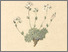 [thumbnail of 11700_1.png]