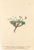 [thumbnail of 11706_1.png]