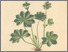 [thumbnail of 11797_1.png]