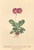 [thumbnail of 12292_1.png]