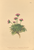 [thumbnail of 12283_1.png]
