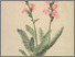 [thumbnail of 12002_1.png]