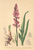[thumbnail of 12332_1.png]