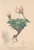 [thumbnail of 11654_1.png]