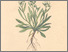[thumbnail of 11694_1.png]
