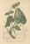[thumbnail of 12274_1.png]