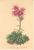 [thumbnail of 11815_1.png]