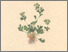 [thumbnail of 11800_1.png]