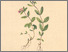 [thumbnail of 11805_1.png]
