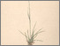 [thumbnail of 12379_1.png]