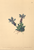 [thumbnail of 11980_1.png]