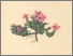 [thumbnail of 11842_1.png]