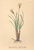 [thumbnail of 12362_1.png]
