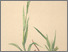 [thumbnail of 12357_1.png]