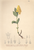 [thumbnail of 11996_1.png]