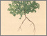 [thumbnail of 11806_1.png]