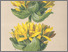 [thumbnail of 11965_1.png]