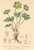 [thumbnail of 11845_1.png]