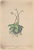 [thumbnail of 12276_1.png]