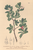 [thumbnail of 11954_1.png]