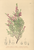 [thumbnail of 11955_1.png]