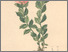 [thumbnail of 11807_1.png]