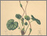 [thumbnail of 11869_1.png]