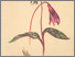 [thumbnail of 12344_1.png]