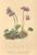 [thumbnail of 12302_1.png]