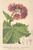 [thumbnail of 11868_1.png]