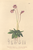 [thumbnail of 12277_1.png]