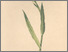 [thumbnail of 11904_1.png]
