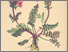 [thumbnail of 12004_1.png]