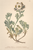[thumbnail of 11887_1.png]