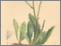 [thumbnail of 11920_1.png]