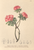 [thumbnail of 12315_1.png]