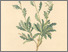 [thumbnail of 11695_1.png]