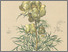 [thumbnail of 11681_1.png]