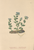 [thumbnail of 11991_1.png]