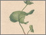 [thumbnail of 11670_1.png]