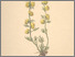 [thumbnail of 11881_1.png]