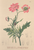 [thumbnail of 11867_1.png]