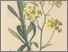 [thumbnail of 11714_1.png]