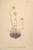 [thumbnail of 11882_1.png]