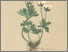 [thumbnail of 11662_1.png]