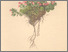 [thumbnail of 12281_1.png]